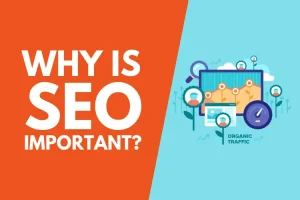 Why SEO is important for startups, Why is seo important, seo, seo important,